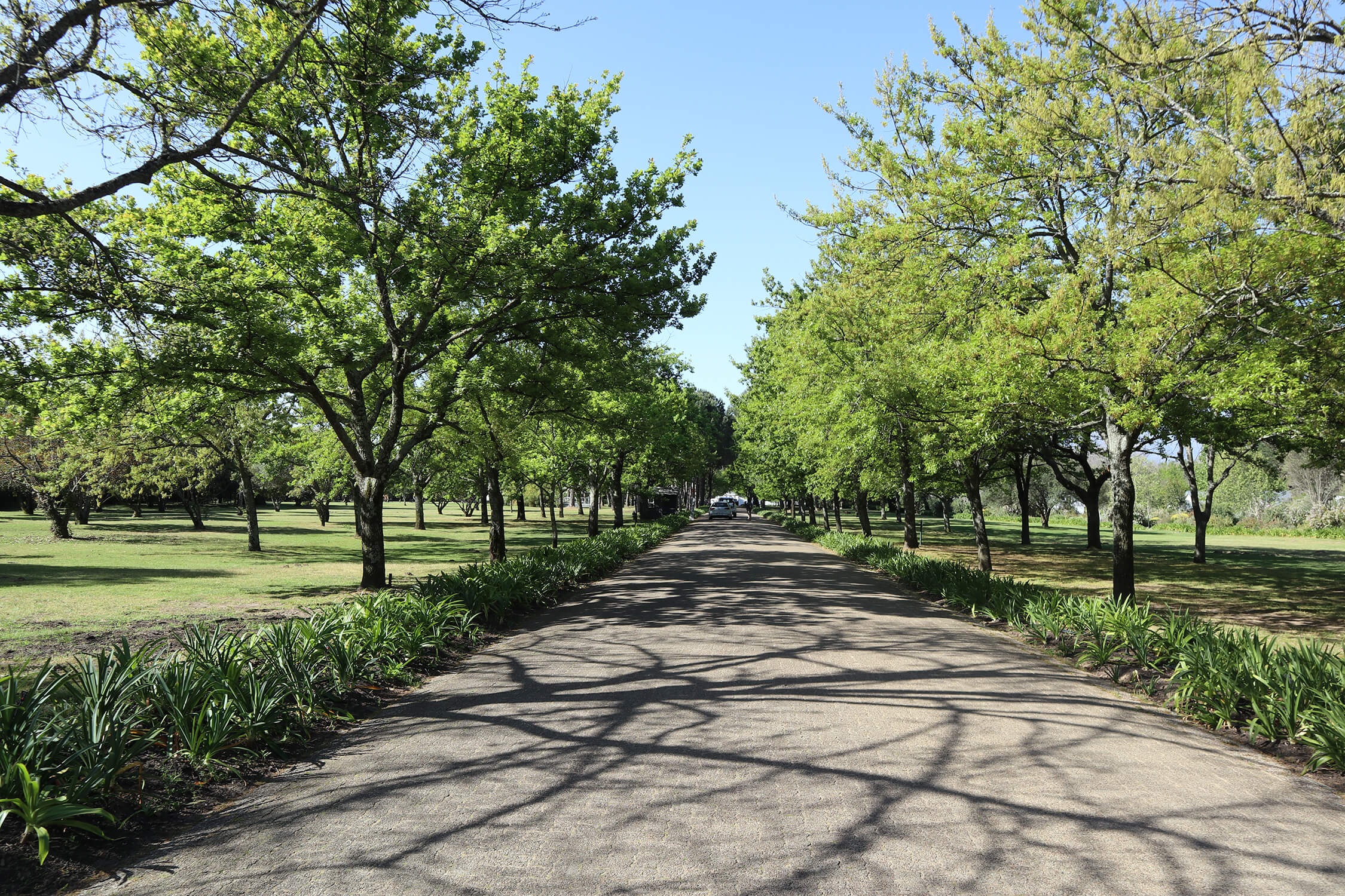 Boschendal 1