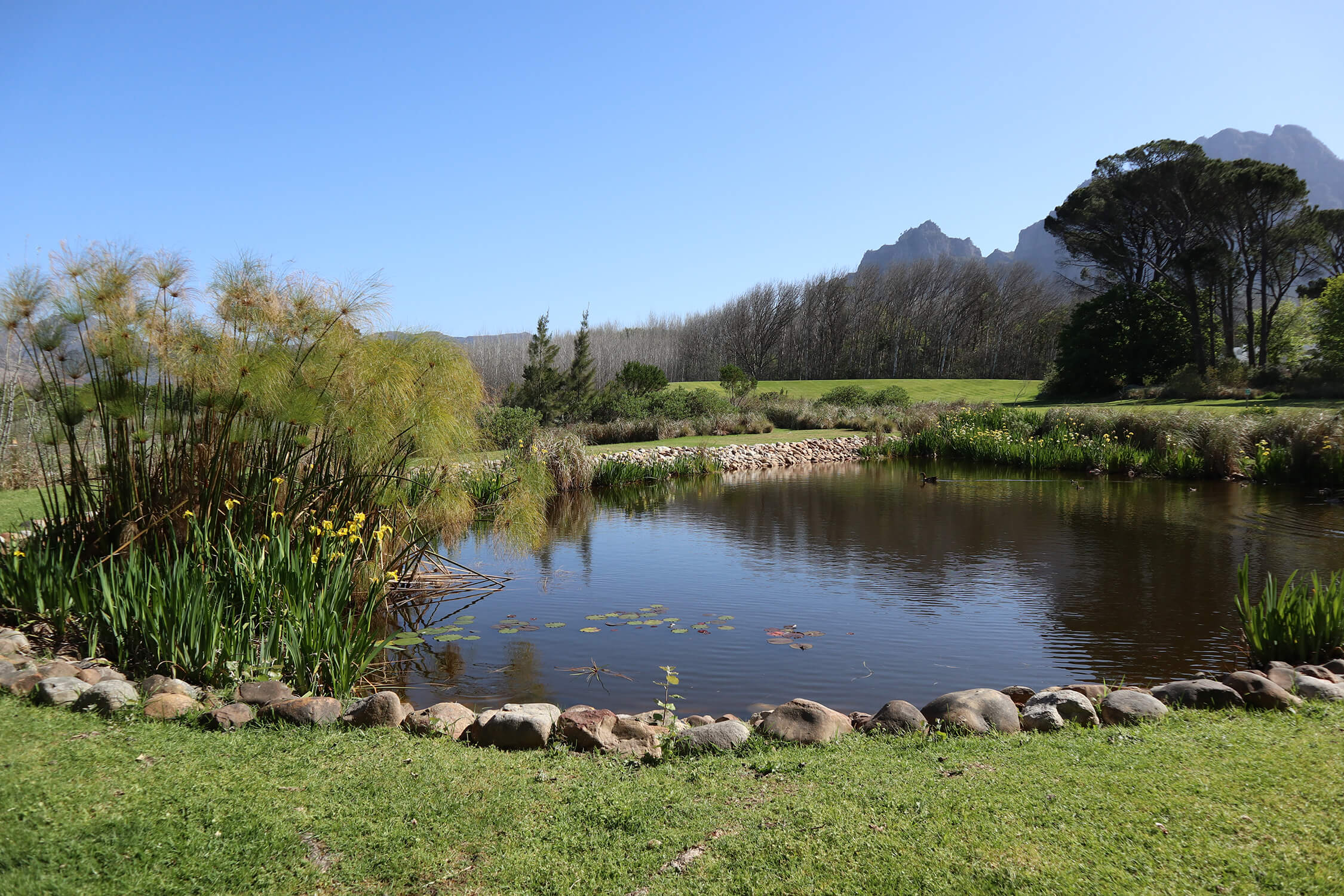 Boschendal Dam 1
