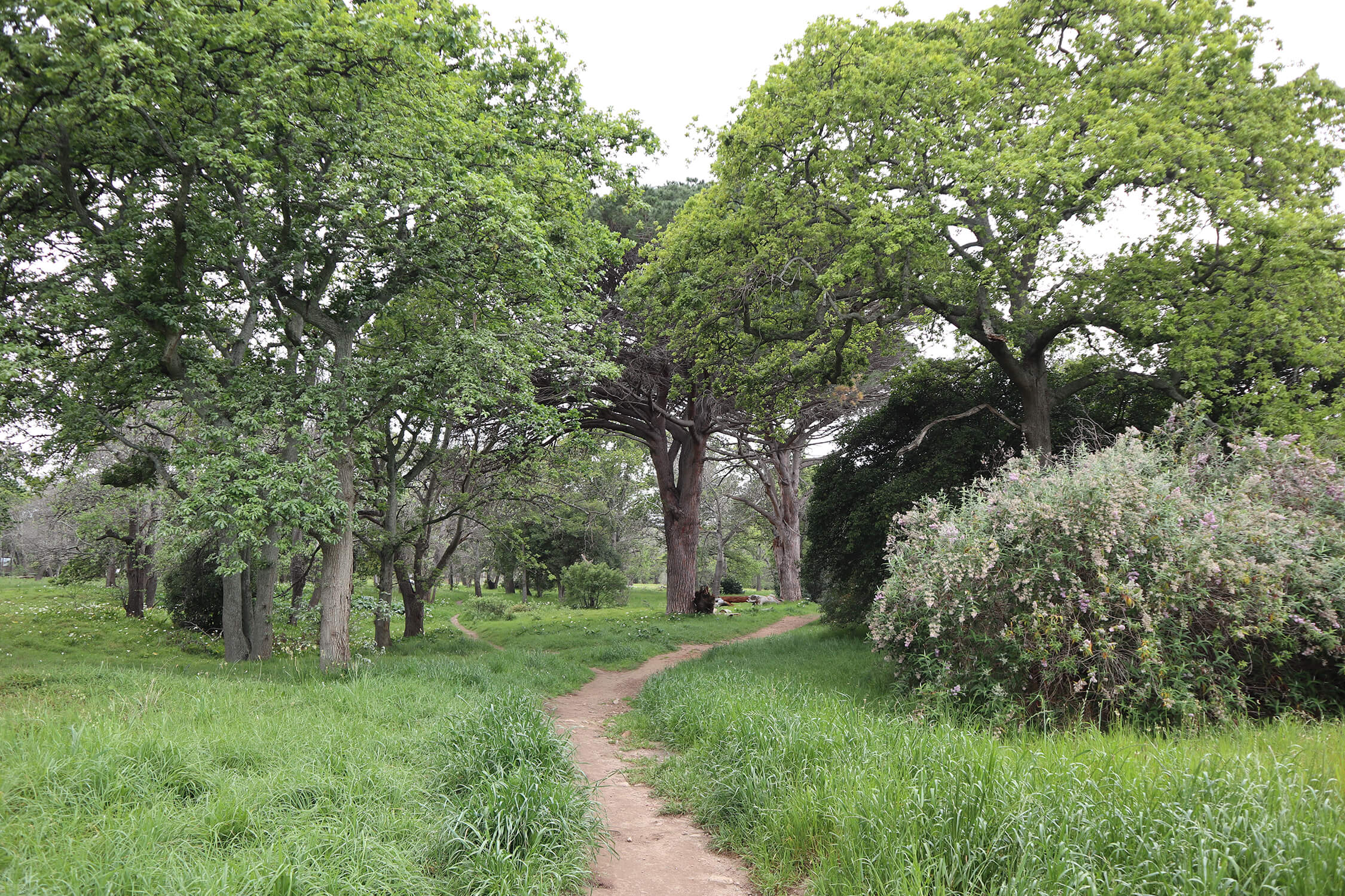 Boschenheuwel 1