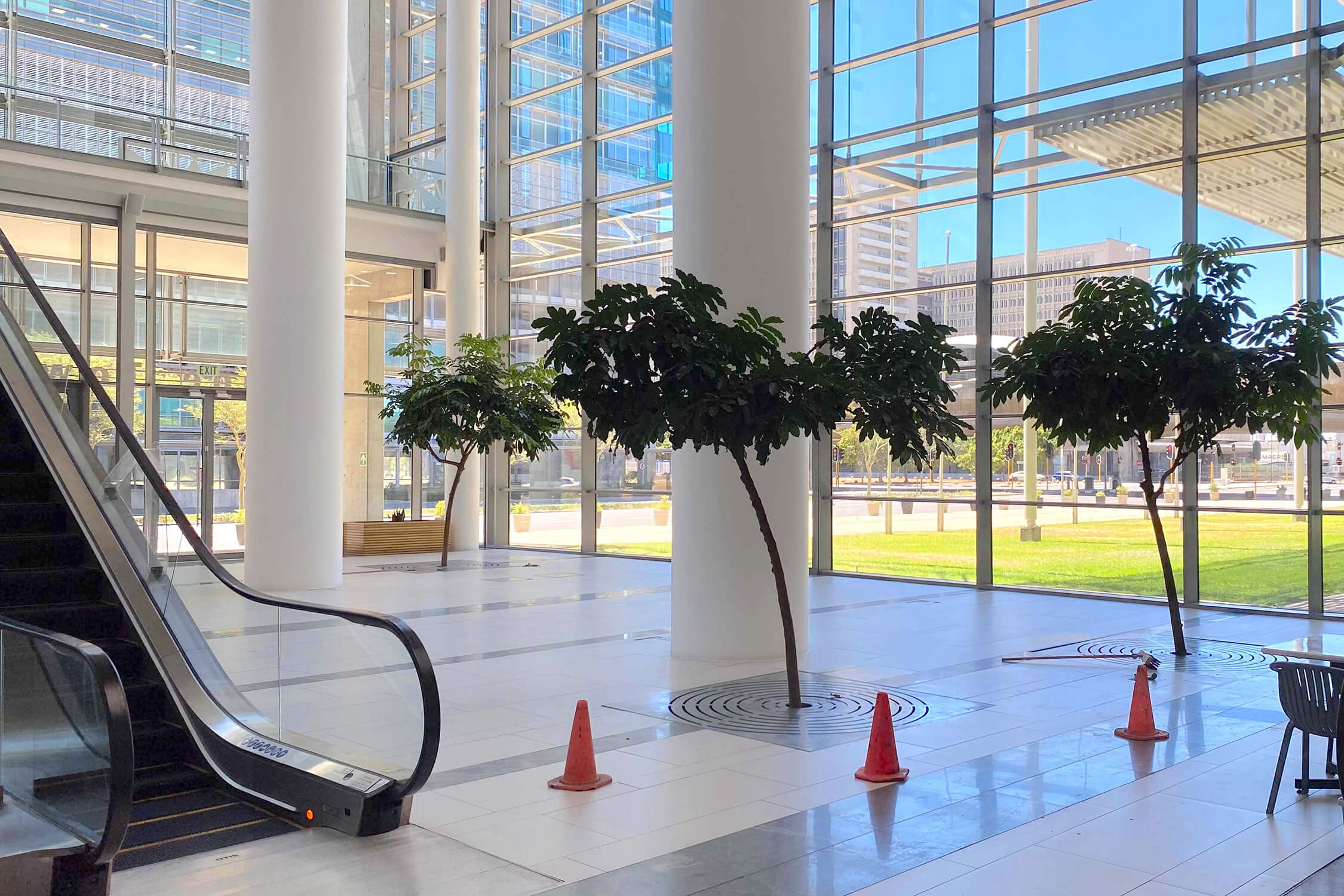 CTICC 2 - Ground Floor Foyer -59