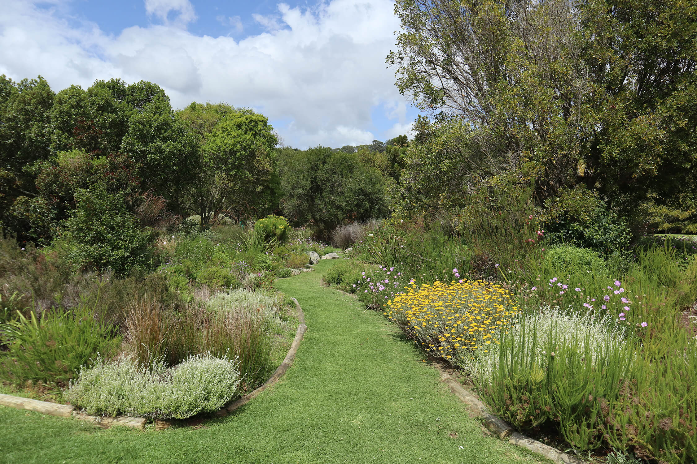 Kirstenbosch 1