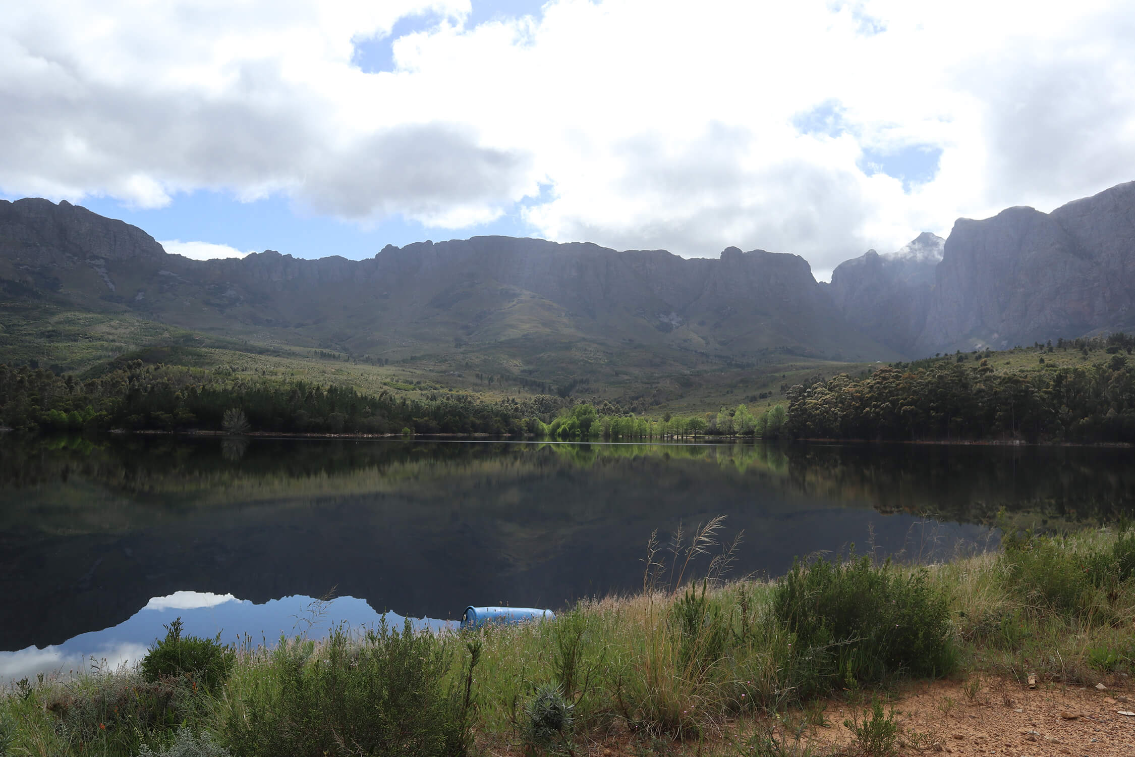 Lourenford Bluegum Dam 1